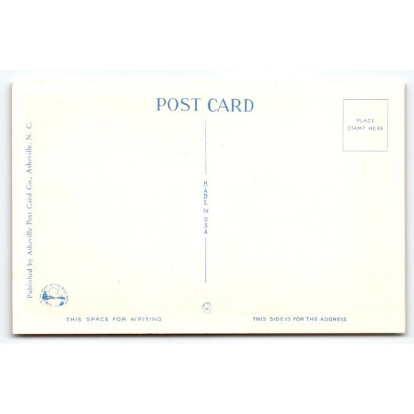 Vintage Linen Postcard A Mountaineer and His Family at Home Asheville NC - Picture 2 of 2